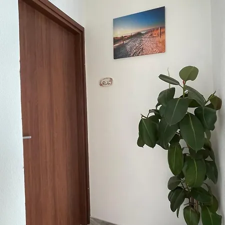Bed and breakfast La Casa Di Carmela E Francesco Maratea