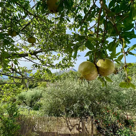 La Casa Di Carmela E Francesco 3* 马拉泰亚